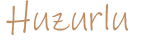 sponsor